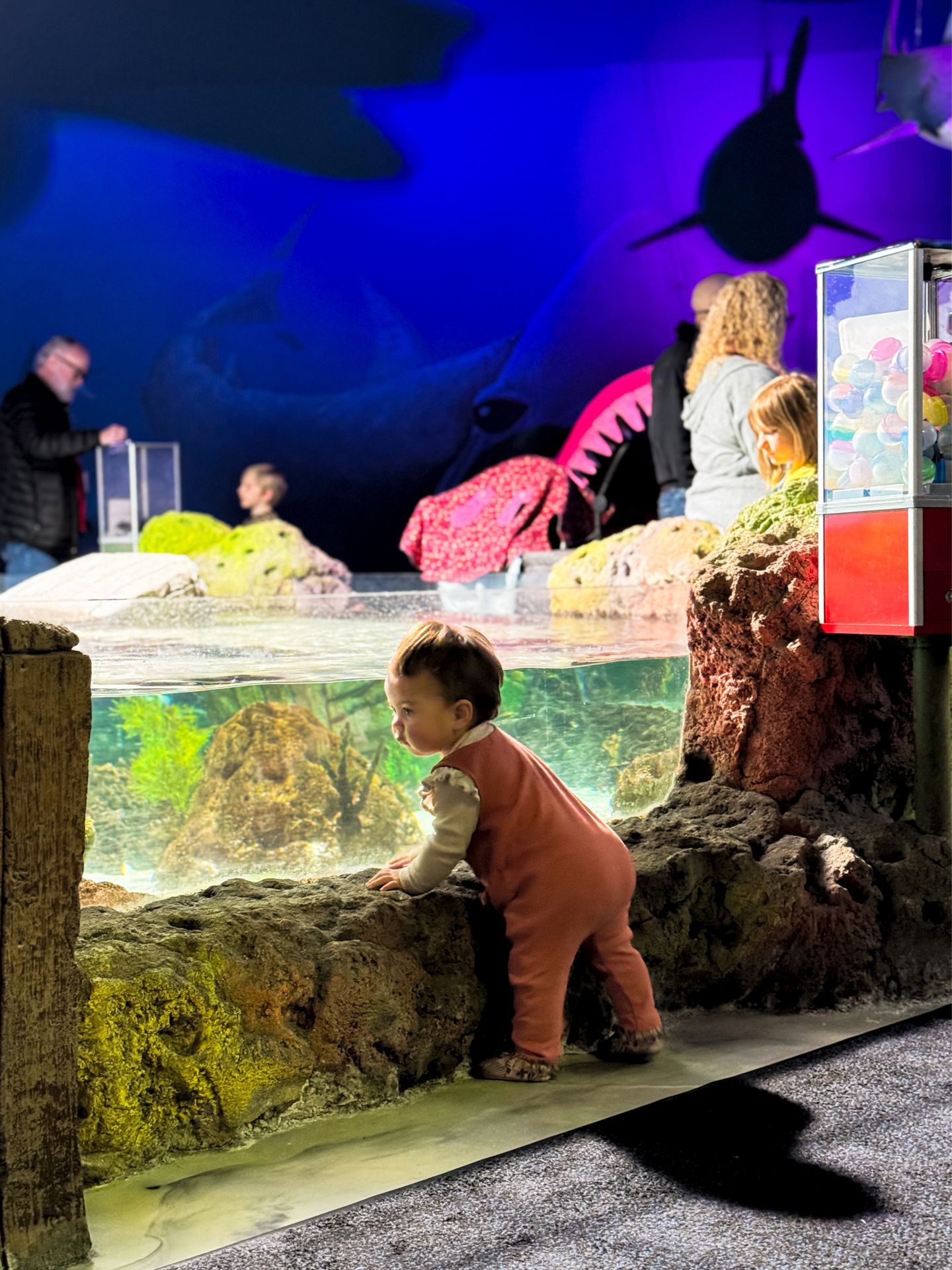 Hill City Aqua Zoo project image