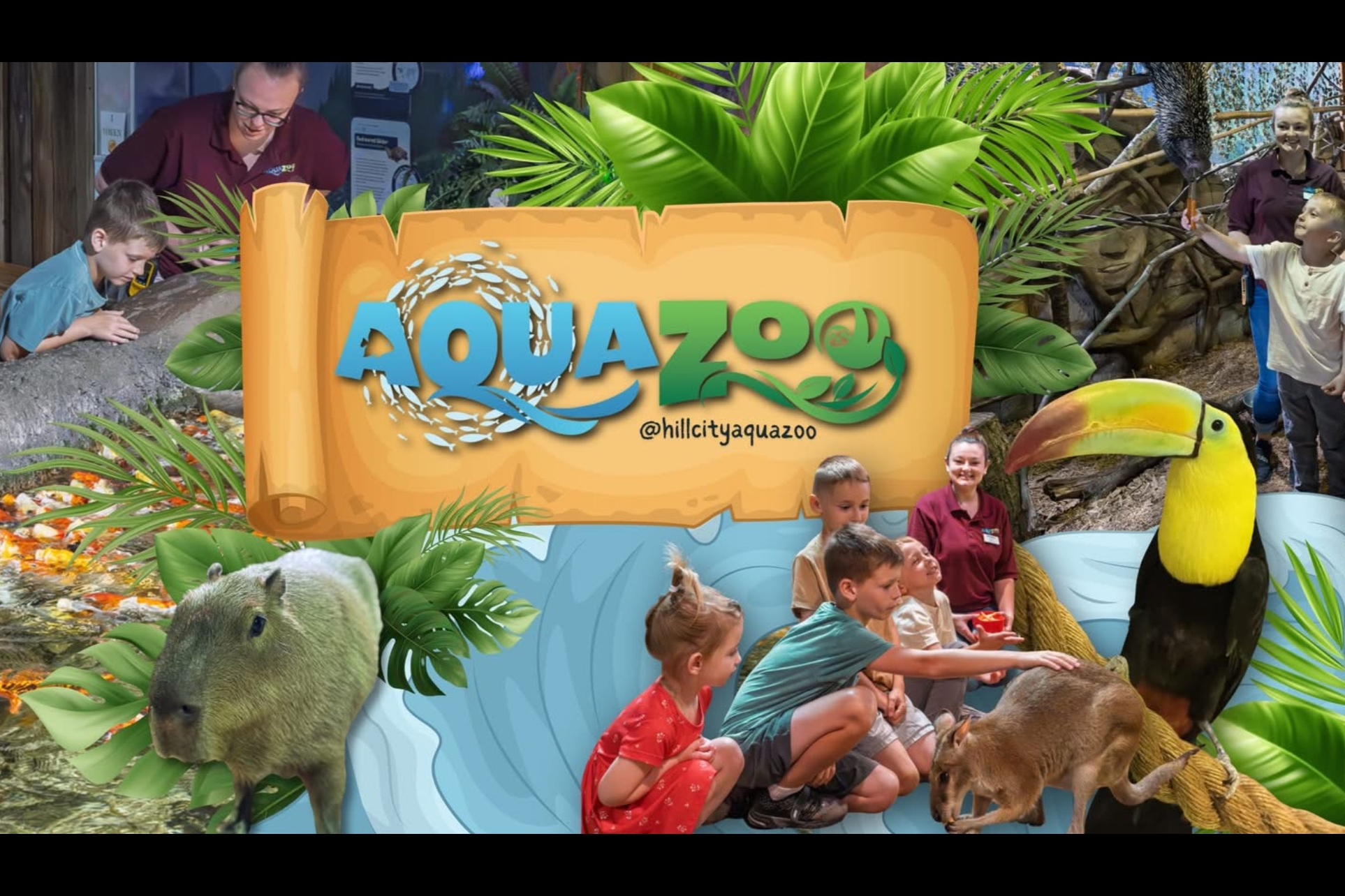 Hill City AquaZoo project image