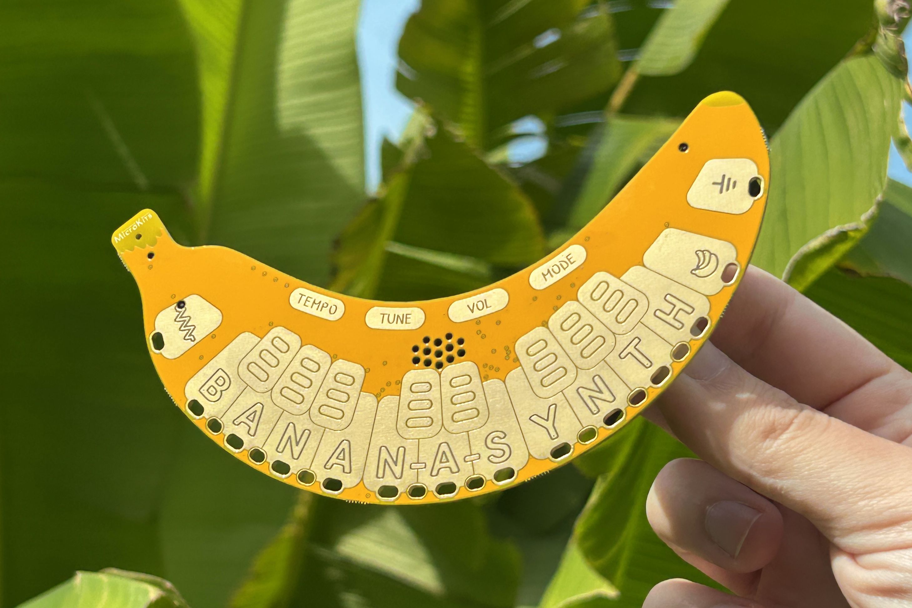 MicroKits: Play the Banan-a-Synth using Conductivity project image