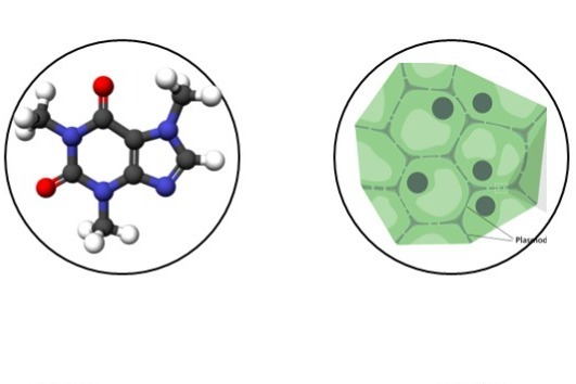 Make your own button project image